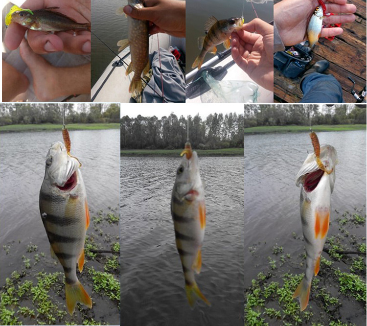 Джиг-крючок JYJ 5 шт./пакет 1g – обзор и цена Fishing Lure Soft Plastic